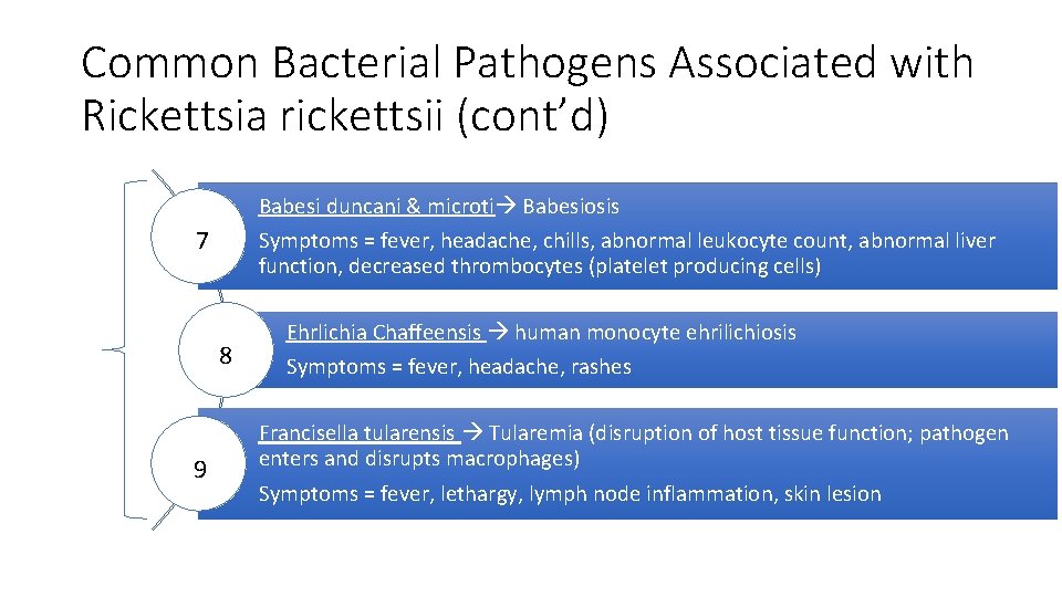 Common Bacterial Pathogens Associated with Rickettsia rickettsii (cont’d) Babesi duncani & microti Babesiosis Symptoms