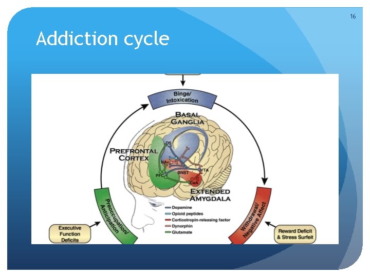 16 Addiction cycle 
