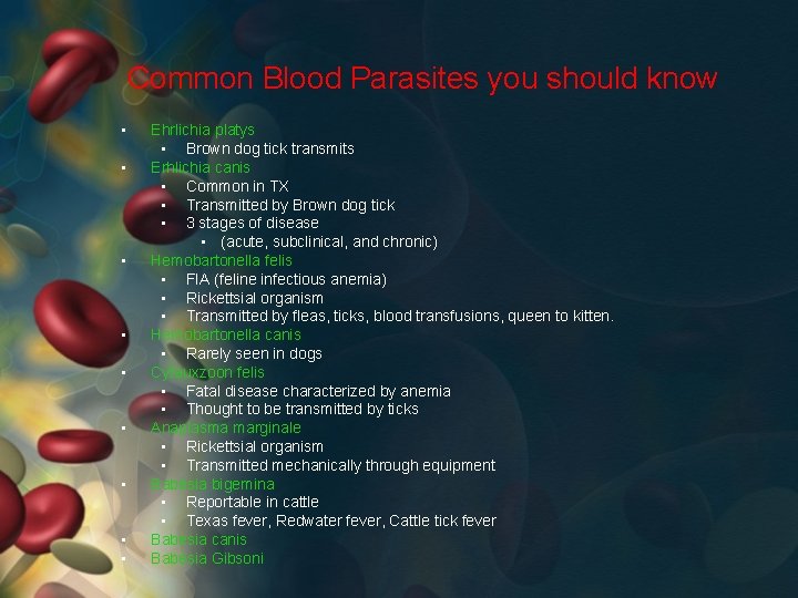 Common Blood Parasites you should know • • • Ehrlichia platys • Brown dog