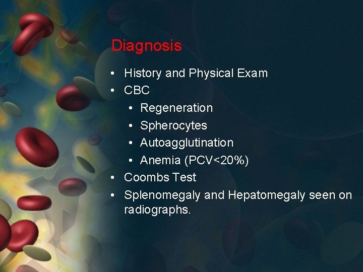 Diagnosis • History and Physical Exam • CBC • Regeneration • Spherocytes • Autoagglutination