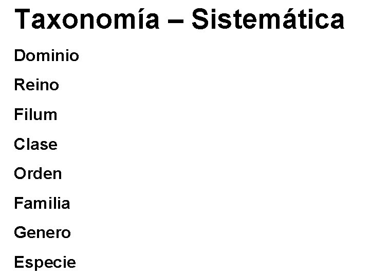 Taxonomía – Sistemática Dominio Reino Filum Clase Orden Familia Genero Especie 