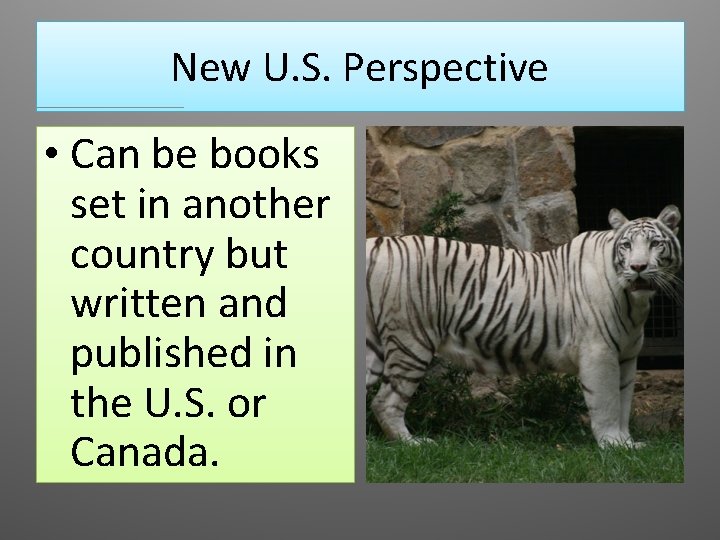 New U. S. Perspective • Can be books set in another country but written