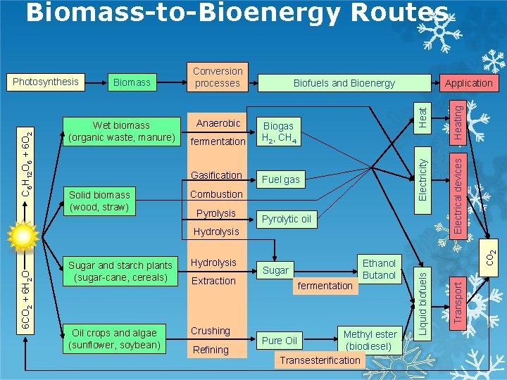 Biomass-to-Bioenergy Routes Gasification Fuel gas Combustion Pyrolysis Pyrolytic oil Hydrolysis Oil crops and algae