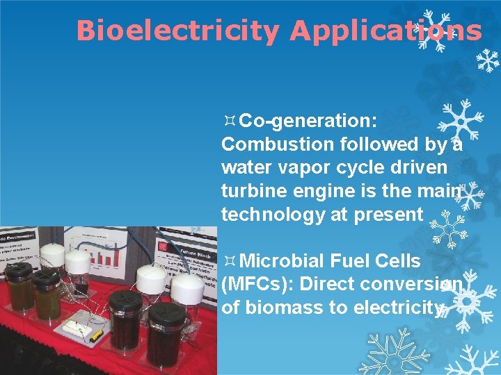 Bioelectricity Applications Co-generation: Combustion followed by a water vapor cycle driven turbine engine is