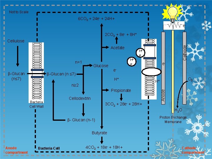 Not to Scale 6 CO 2 + 24 e- + 24 H+ ee- 2
