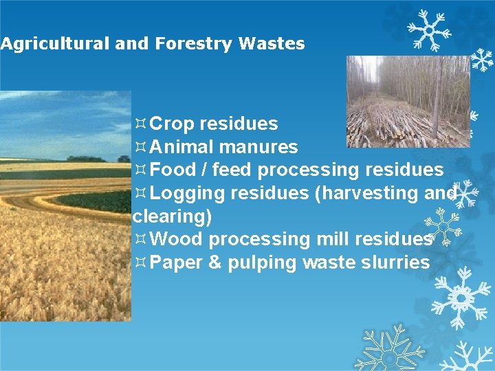 Agricultural and Forestry Wastes Crop residues Animal manures Food / feed processing residues Logging