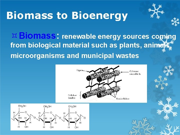 Biomass to Bioenergy Biomass: renewable energy sources coming from biological material such as plants,