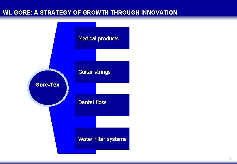 WL GORE: A STRATEGY OF GROWTH THROUGH INNOVATION Medical products Guitar strings Gore-Tex Dental