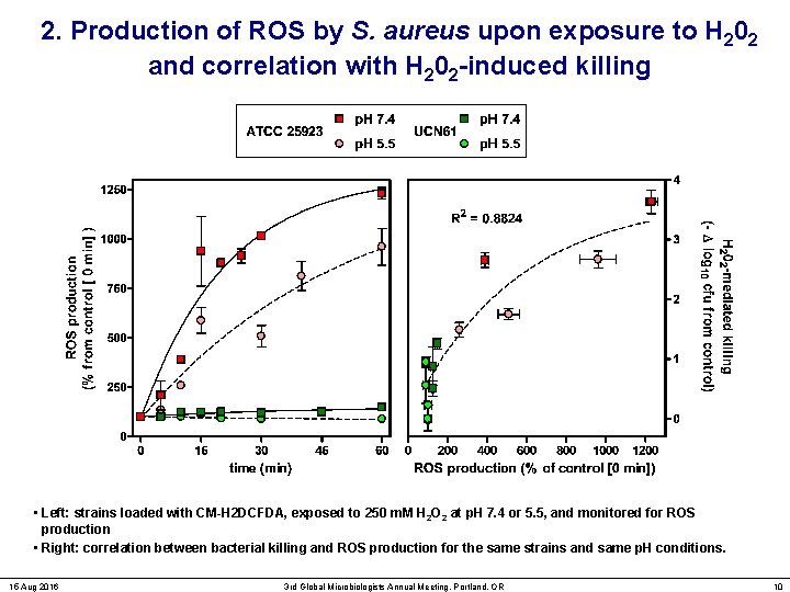 2. Production of ROS by S. aureus upon exposure to H 202 and correlation