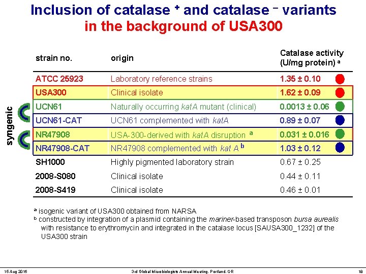 syngenic Inclusion of catalase + and catalase – variants in the background of USA