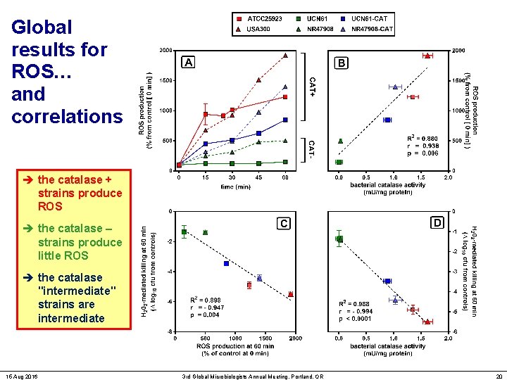 Global results for ROS… and correlations the catalase + strains produce ROS the catalase