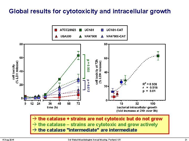 Global results for cytotoxicity and intracellular growth the catalase + strains are not cytotoxic
