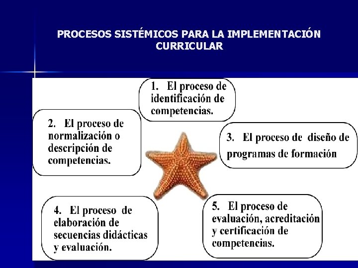 PROCESOS SISTÉMICOS PARA LA IMPLEMENTACIÓN CURRICULAR 