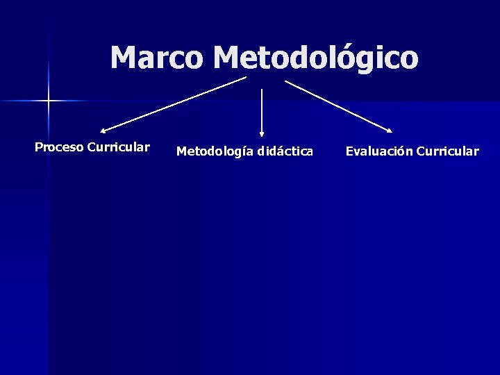 Marco Metodológico Proceso Curricular Metodología didáctica Evaluación Curricular 