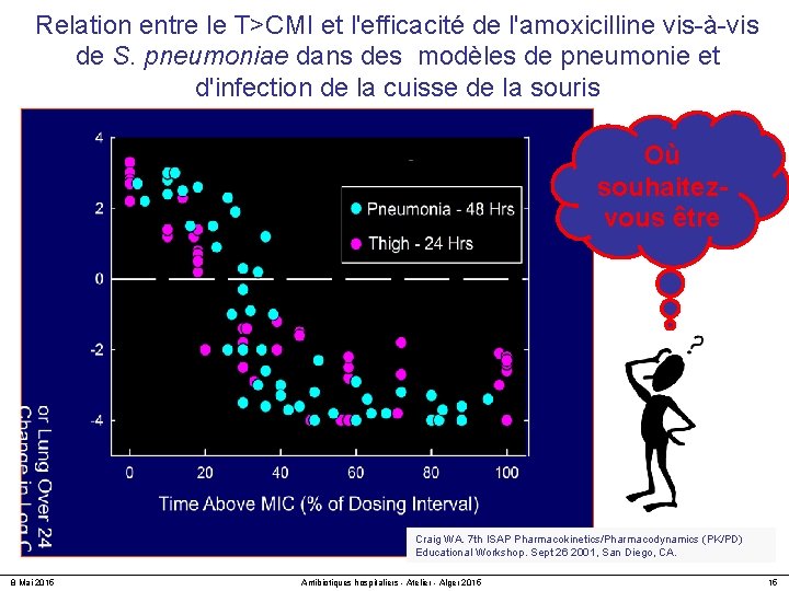 Relation entre le T>CMI et l'efficacité de l'amoxicilline vis-à-vis de S. pneumoniae dans des