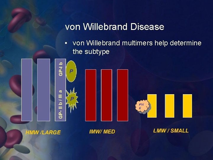 von Willebrand Disease • von Willebrand multimers help determine the subtype 