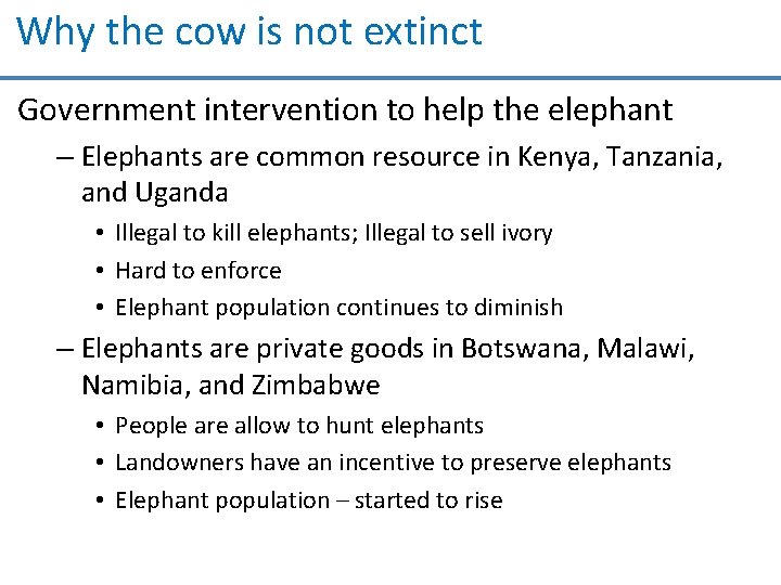 Why the cow is not extinct Government intervention to help the elephant – Elephants