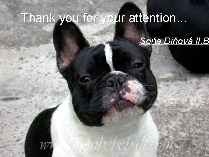Thank you for your attention. . . Soňa Diňová II. B 