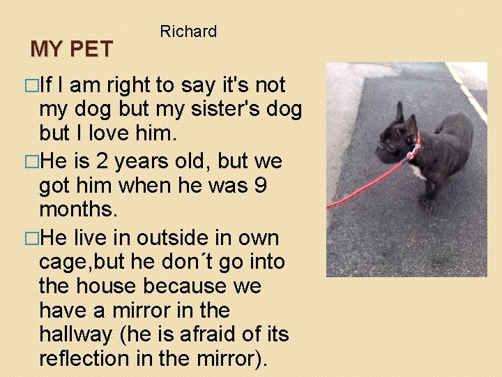 MY PET �If Richard I am right to say it's not my dog but