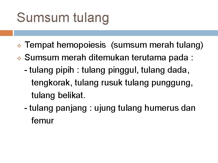 Sumsum tulang Tempat hemopoiesis (sumsum merah tulang) v Sumsum merah ditemukan terutama pada :