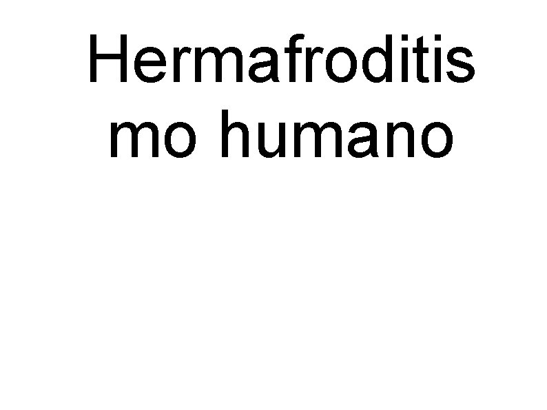 Hermafroditis mo humano 