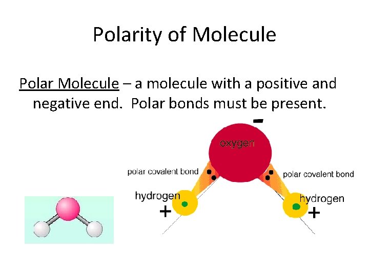 Polarity of Molecule Polar Molecule – a molecule with a positive and negative end.