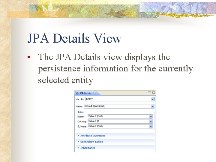 JPA Details View • The JPA Details view displays the persistence information for the