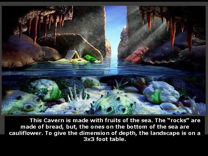 This Cavern is made with fruits of the sea. The “rocks” are made of