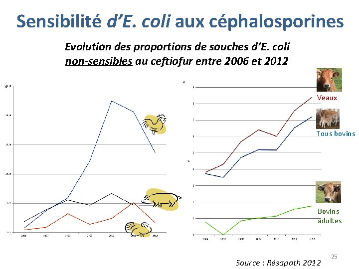 Sensibilité d’E. coli aux céphalosporines Evolution des proportions de souches d’E. coli non-sensibles au