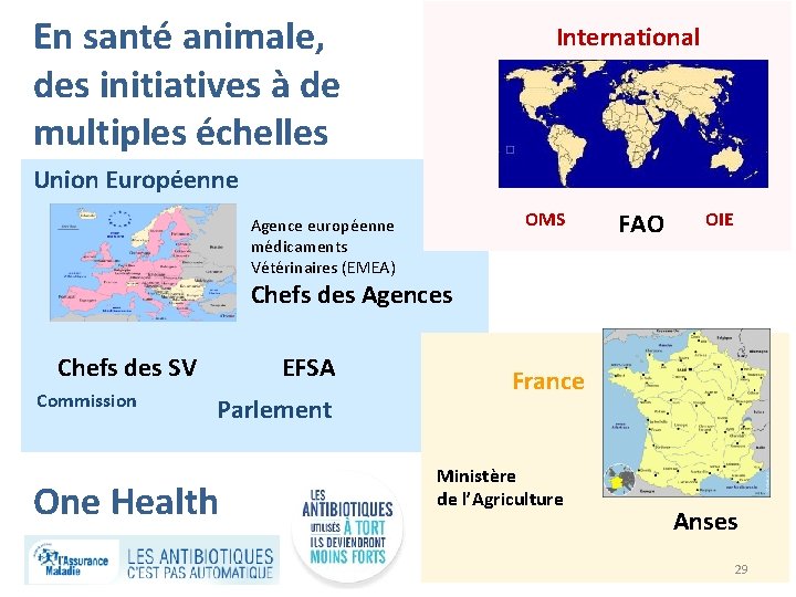 En santé animale, des initiatives à de multiples échelles International Union Européenne Agence européenne