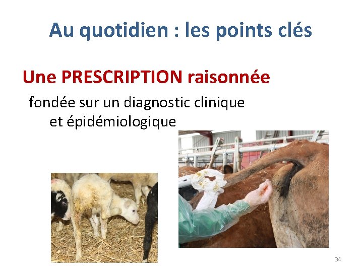 Au quotidien : les points clés Une PRESCRIPTION raisonnée fondée sur un diagnostic clinique