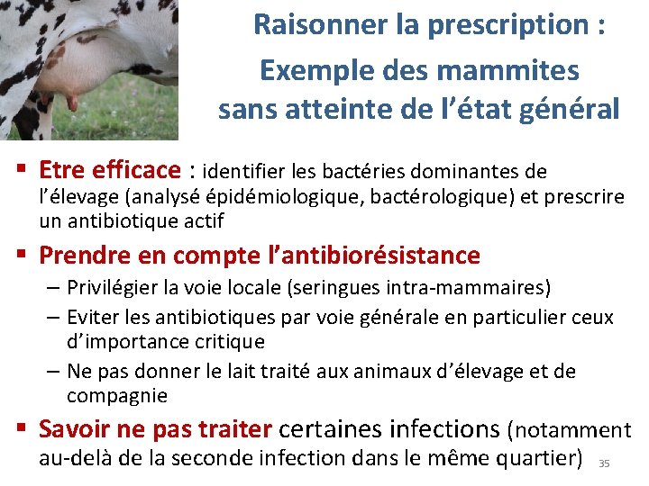 Raisonner la prescription : Exemple des mammites sans atteinte de l’état général § Etre