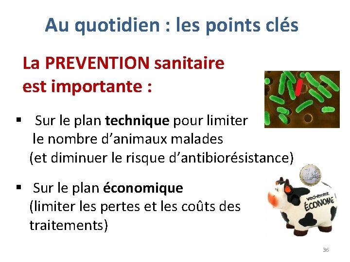 Au quotidien : les points clés La PREVENTION sanitaire est importante : § Sur