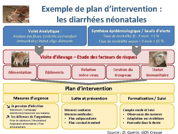 Exemple de plan d’intervention : les diarrhées néonatales Volet Analytique : Synthèse épidémiologique /