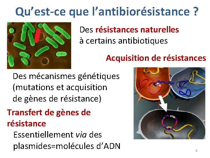 Qu’est-ce que l’antibiorésistance ? Des résistances naturelles à certains antibiotiques Acquisition de résistances Des