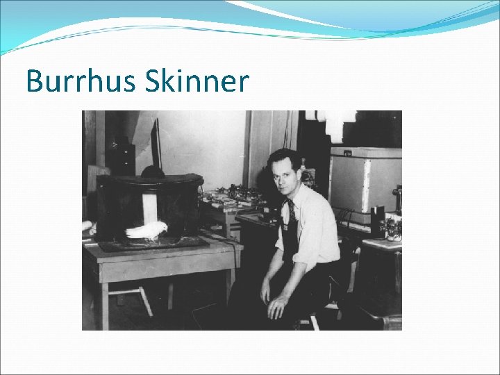 Burrhus Skinner 