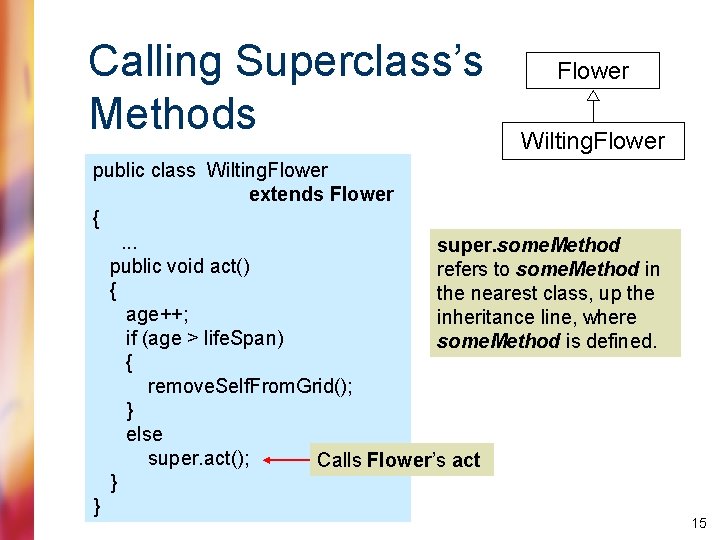 Calling Superclass’s Methods Flower Wilting. Flower public class Wilting. Flower extends Flower {. .