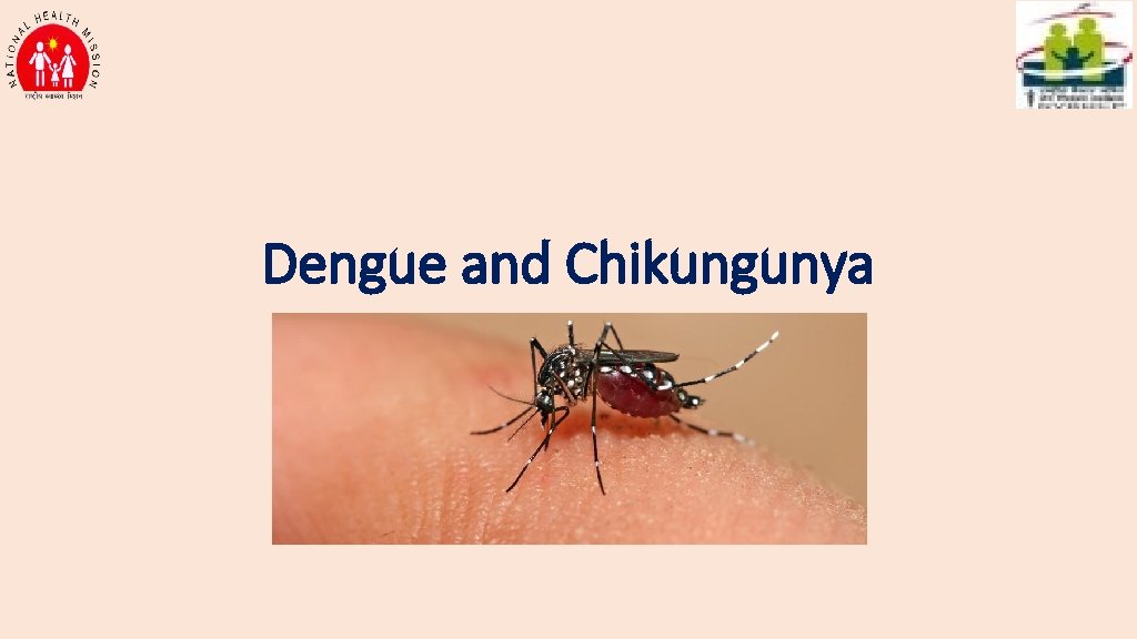 Dengue and Chikungunya 