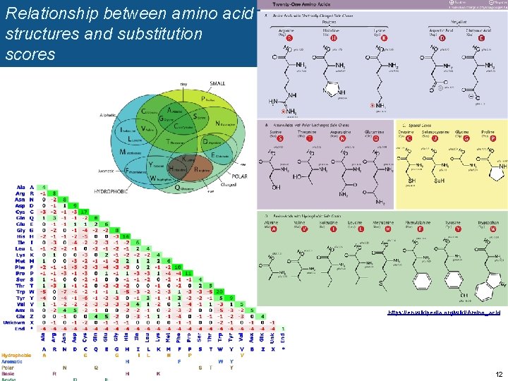 Relationship between amino acid structures and substitution scores https: //en. wikipedia. org/wiki/Amino_acid 12 