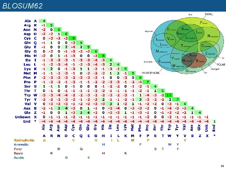 BLOSUM 62 14 