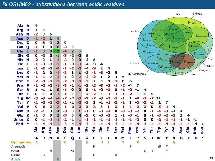 BLOSUM 62 - substitutions between acidic residues 16 