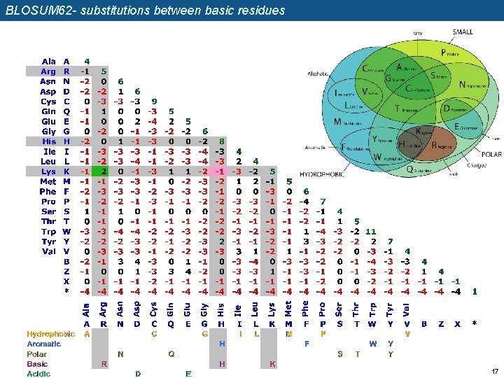 BLOSUM 62 - substitutions between basic residues 17 