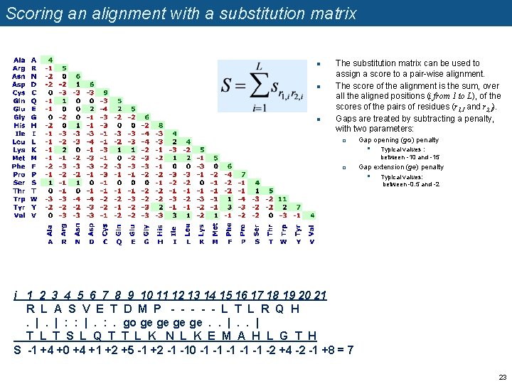 Scoring an alignment with a substitution matrix n n n The substitution matrix can