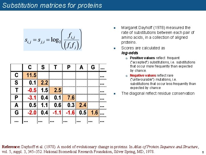 Substitution matrices for proteins n n Margaret Dayhoff (1978) measured the rate of substitutions