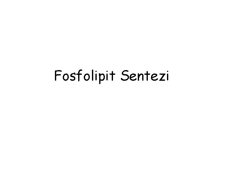 Fosfolipit Sentezi 