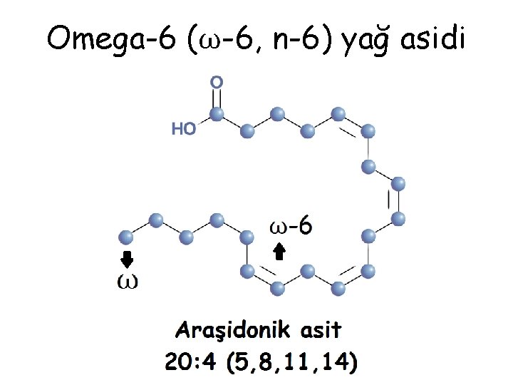 Omega-6 (ω-6, n-6) yağ asidi 