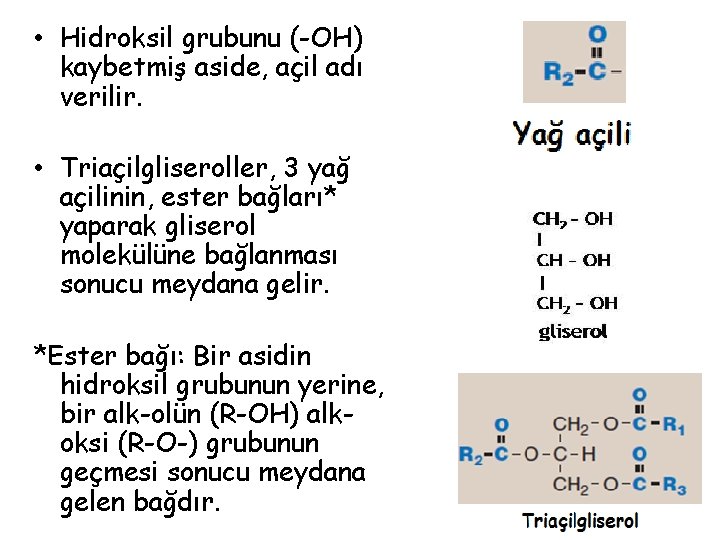  • Hidroksil grubunu (-OH) kaybetmiş aside, açil adı verilir. • Triaçilgliseroller, 3 yağ
