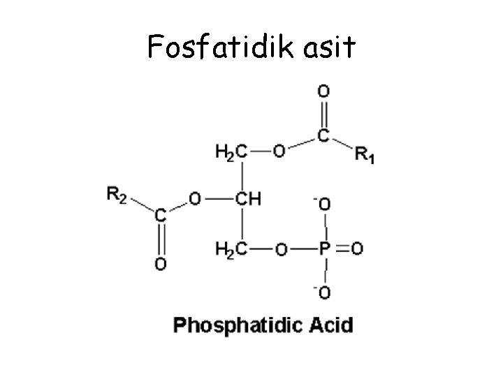 Fosfatidik asit 