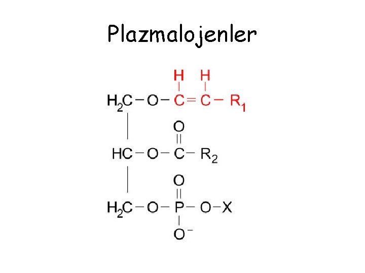 Plazmalojenler 