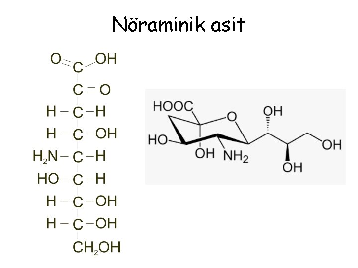 Nöraminik asit 